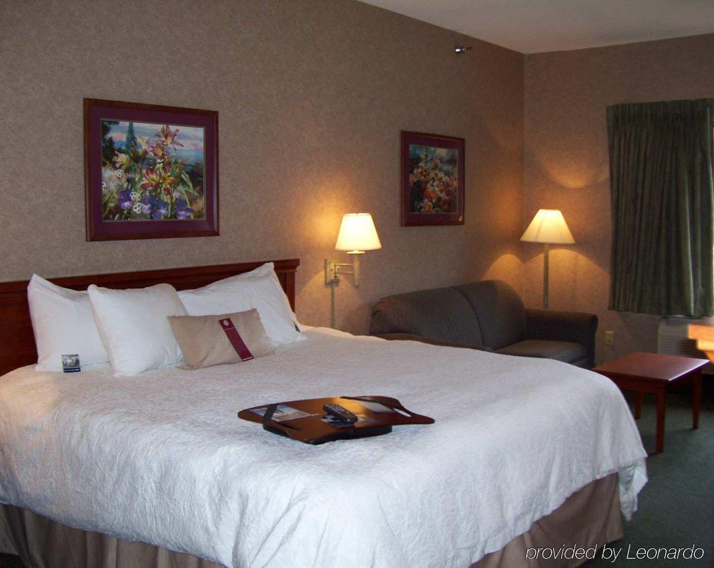 Hampton Inn Detroit/Belleville-Airport Area Chambre photo