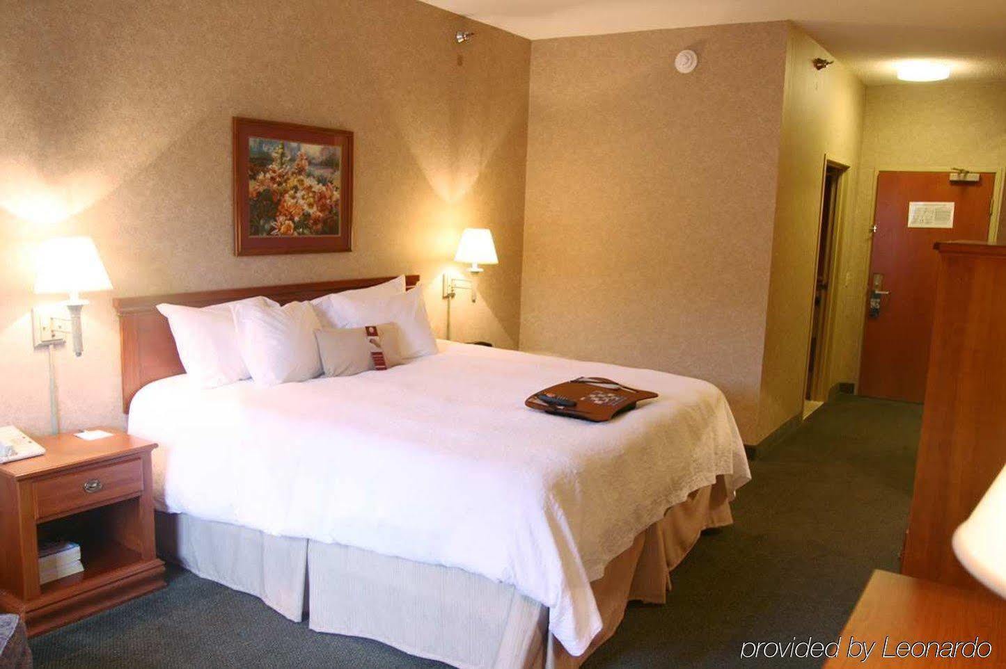 Hampton Inn Detroit/Belleville-Airport Area Extérieur photo