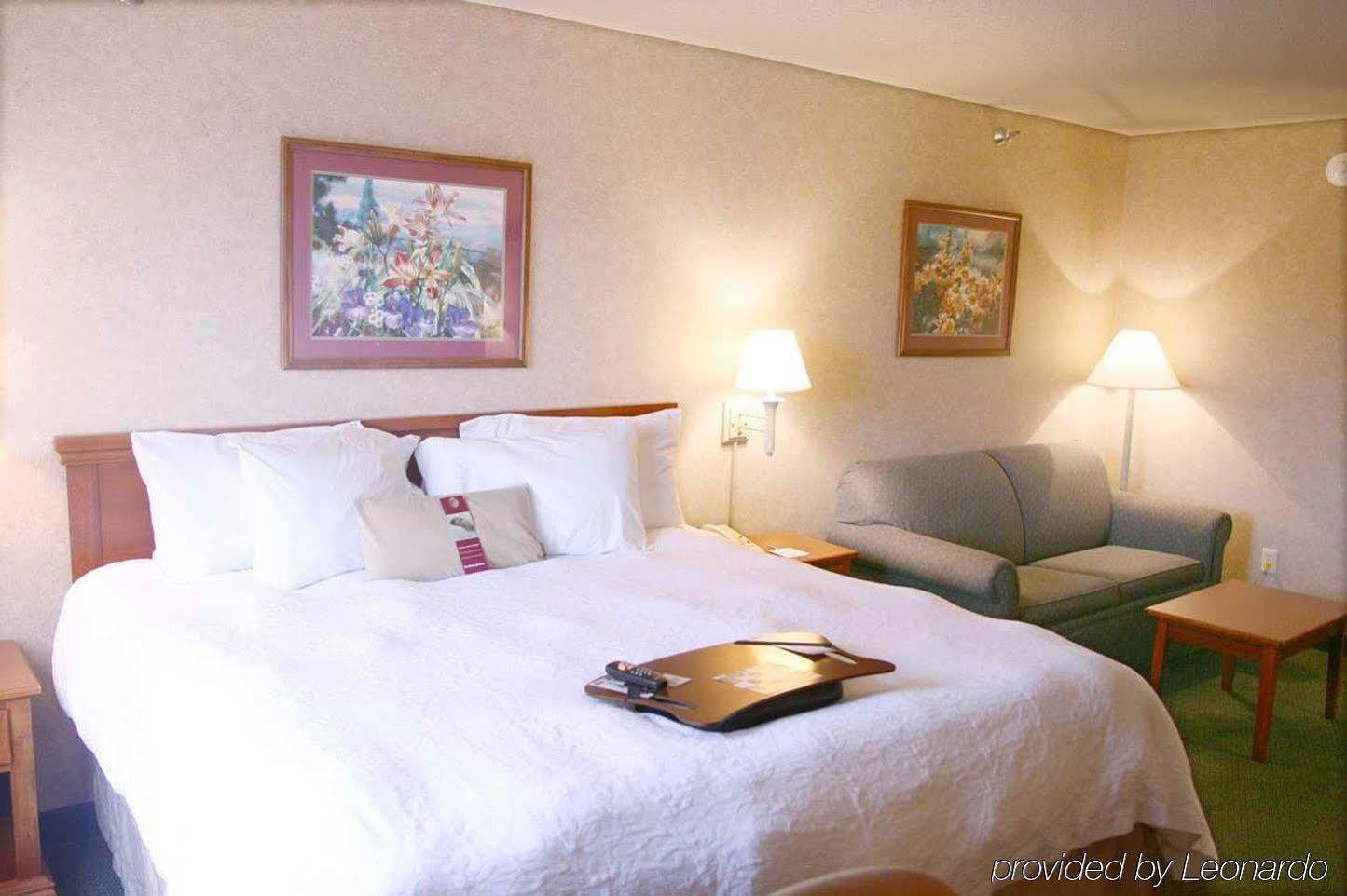 Hampton Inn Detroit/Belleville-Airport Area Extérieur photo